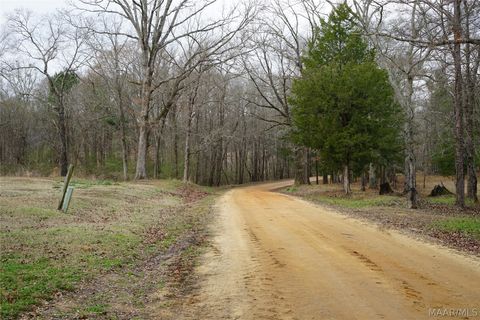 Photo of 1303 County Road 176 Road, Fitzpatrick, AL 36029 (MLS # 584287)