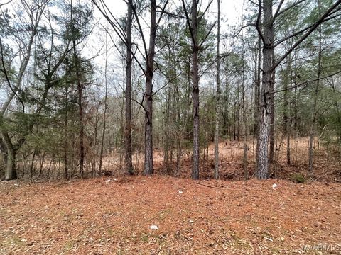 Photo of 56 Whipporwill Road, Wetumpka, AL 36092 (MLS # 583048)