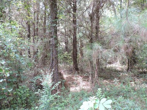 Photo of 0 Davenport Road, Greenville, AL 36037 (MLS # 579471)