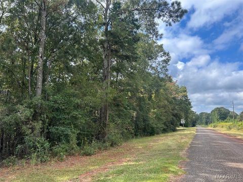 Photo of 00 County Road 88 Circle, Abbeville, AL 36310 (MLS # 580510)