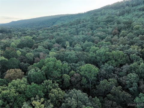 Photo of 0 sumatanga Road, Steele, AL 35987 (MLS # 580811)