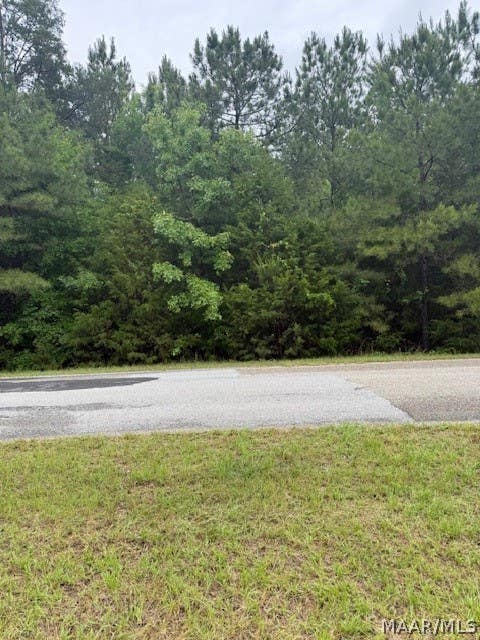 Photo of 2 Cottrell Way, Autaugaville, AL 36003 (MLS # 586877)
