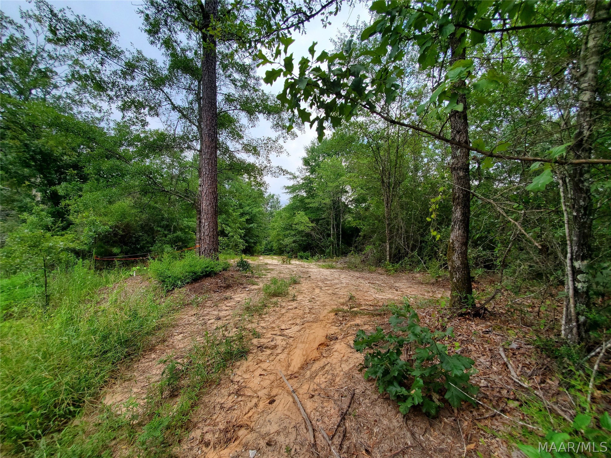 1657 County Road 19 N - Photo 4