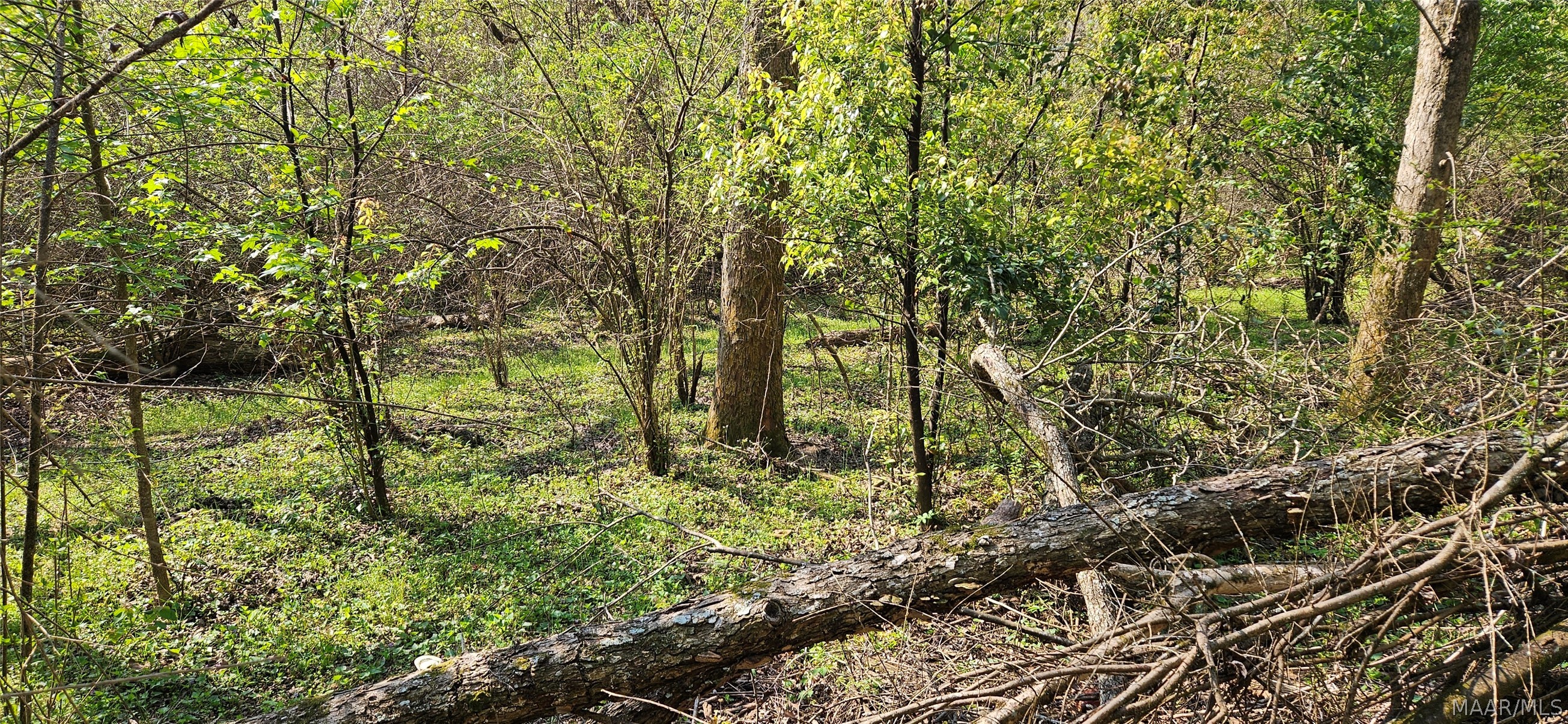 Photo 1 of 5 — 0 Windmill Road, Fairhope, AL 36532