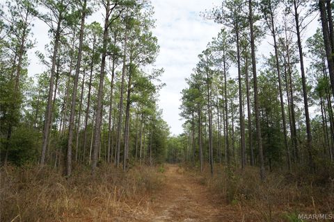 Photo of 11700 county Rd 7 Highway, Troy, AL 36081 (MLS # 583885)
