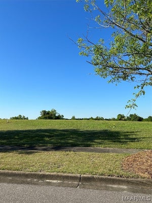 3942 TURNING LEAF LN, MONTGOMERY, AL 36116 - Image 656ba8dd7586bf16125b01e0ec8a7021/2321267290