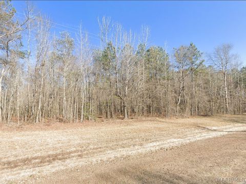 Photo of 2445 COUNTY ROAD 47, Tuskegee, AL 36083 (MLS # 586364)