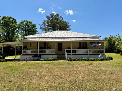 Photo of 10806 Hank Williams Road, McKenzie, AL 36456 (MLS # 585697)