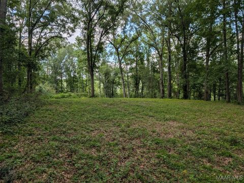 Photo of 0 MELT FLOWERS Road, Troy, AL 36081 (MLS # 581006)