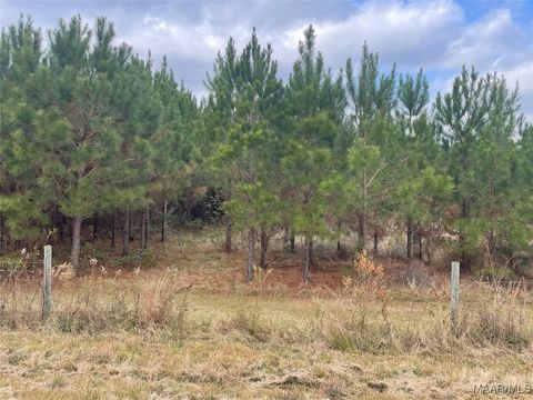 Photo of 0 Coosada Road, Coosada, AL 36020 (MLS # 581637)