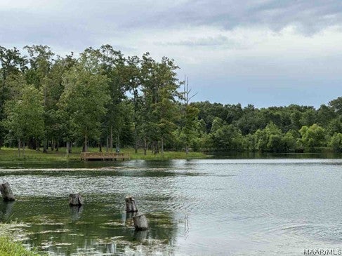 OAKWOOD DR, HOPE HULL, AL 36043 - Image 6afa6ebc0e68605082e2bcd49ccdf8ee/1224787687