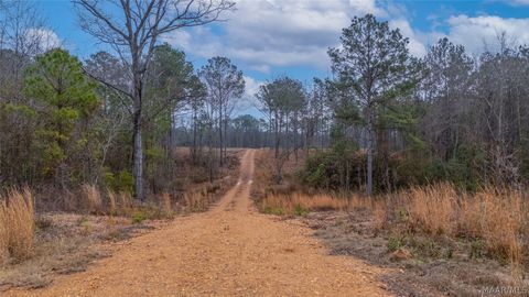 Photo of 272 Shadow Wood Lane, Wetumpka, AL 36092 (MLS # 586808)