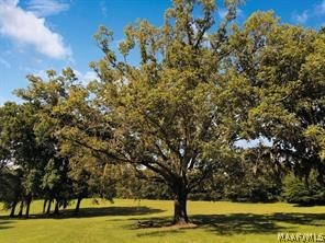 Photo 1 of 3 — Lot 2 Oak View Drive, Pike Road, AL 36064