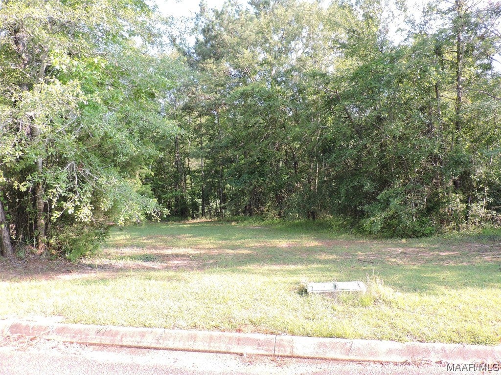 Photo 1 of 2 — Lot 3B White Oak Way, Greenville, AL 36037