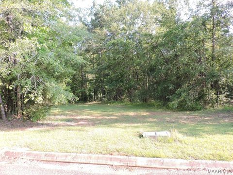 Photo of 3 White Oak Way, Greenville, AL 36037 (MLS # 541646)