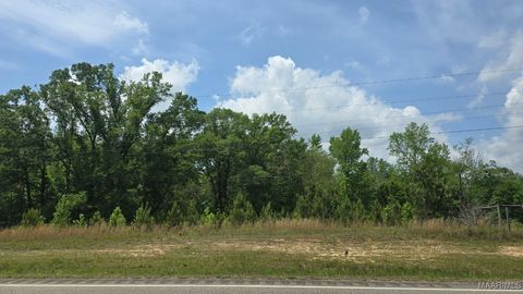 Photo of 0 Highway 143, Deatsville, AL 36022 (MLS # 577210)