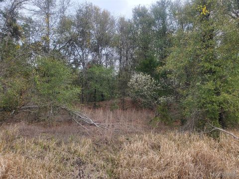Photo of 0 Pleasant Hill Road, Gilbertown, AL 36908 (MLS # 584772)