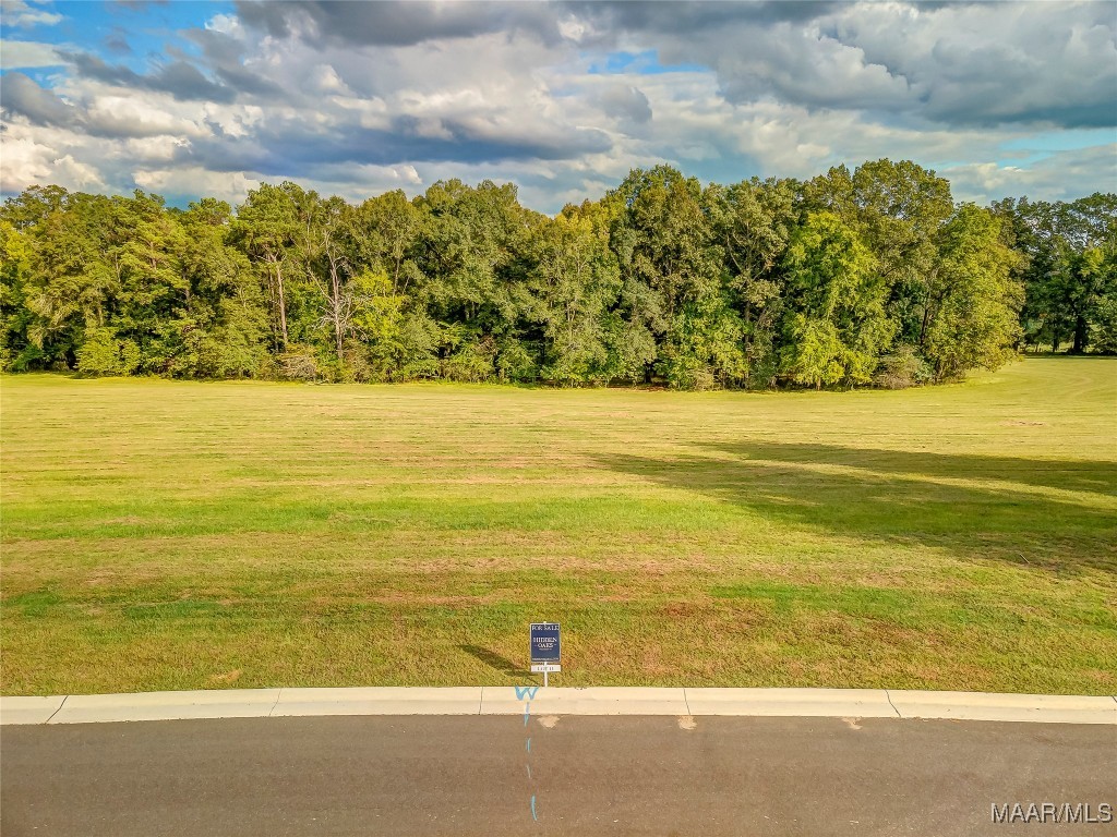 Photo 1 of 1 — Lot 14 Hidden Oaks Avenue, Pike Road, AL 36064