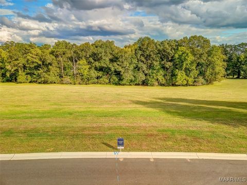 Photo of 14 Hidden Oaks Avenue, Pike Road, AL 36064 (MLS # 572252) Photo of 14 Hidden Oaks Avenue, Pike Road, AL 36064 (MLS # 572252)