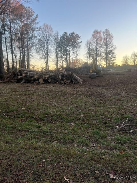 Photo of 269 Hayneville Ridge Road, Mathews, AL 36052 (MLS # 582777)