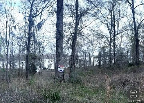 Photo of 13 Riverview Landing Drive #13, Camden, AL 36726 (MLS # 584501)