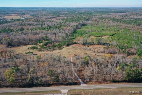 Photo of 2884 Highway 47, Columbiana, AL 35051 (MLS # 581848)