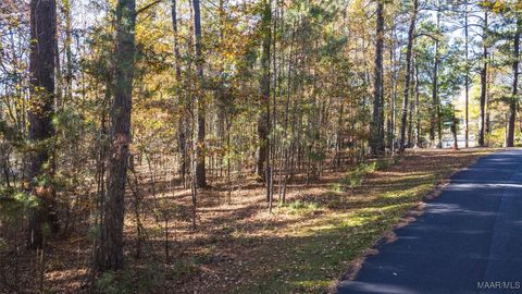 Photo of 1 Willow Lane, Alexander City, AL 35010 (MLS # 581762)