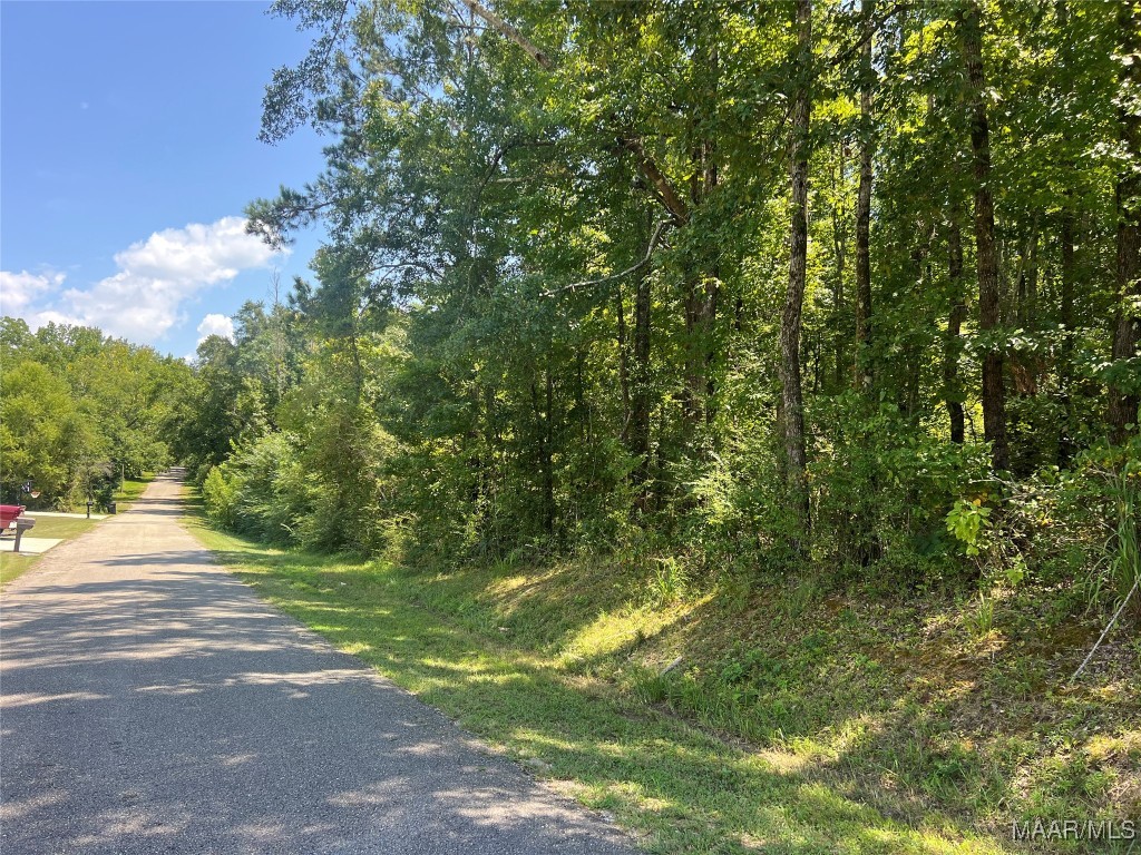 Photo 1 of 8 — 0 Highway 31 Highway, Clanton, AL 35045
