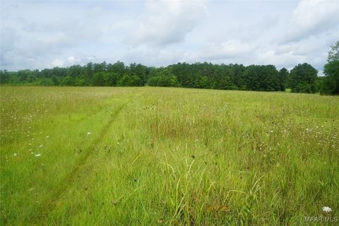 Photo of 640 Barnes Road, Montgomery, AL 36064 (MLS # 577443)