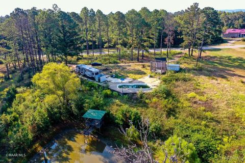 Photo of 17388 Bashi Road, Thomasville, AL 36784 (MLS # 580094)