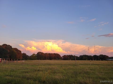 Photo of 2580 County Road 59, Prattville, AL 36067 (MLS # 582349)