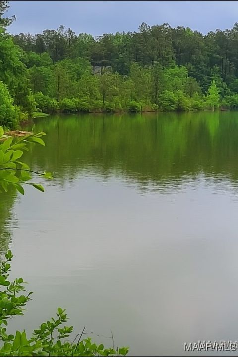 Photo of 125 Merrill Lane, Deatsville, AL 36022 (MLS # 580562)