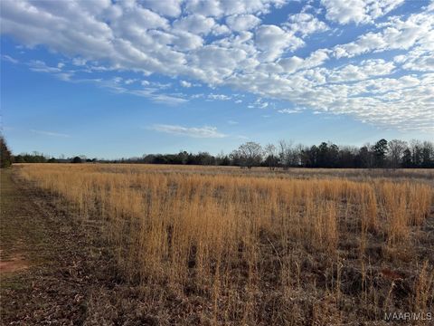 Photo of 0 Dewberry Trail, Wetumpka, AL 36093 (MLS # 570265) Photo of 0 Dewberry Trail, Wetumpka, AL 36093 (MLS # 570265)
