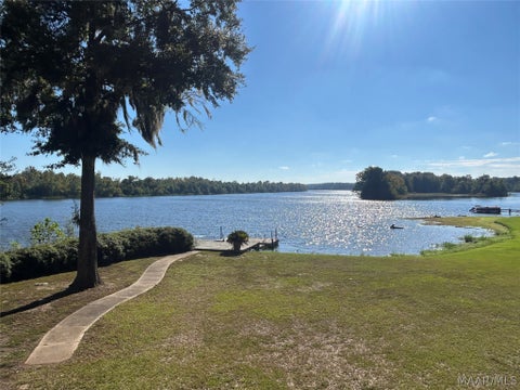 Photo of 163 Curl Drive, Camden, AL 36726 (MLS # 591034)