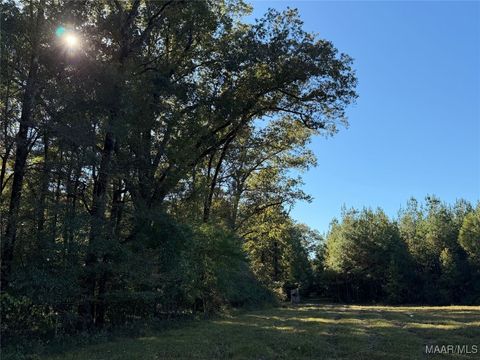 Photo of 133 County Road 37, Troy, AL 36081 (MLS # 580916)