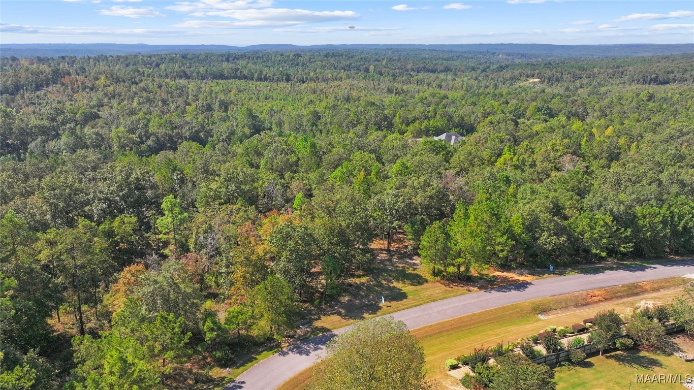 736 Ethan Lane - Photo 2