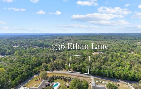 Photo of 736 Ethan Lane, Prattville, AL 36067 (MLS # 579721)