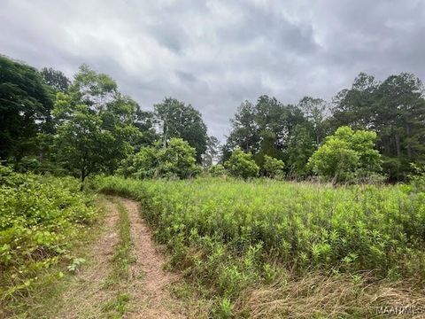 Photo of 0 Cherokee Trail, Tallassee, AL 36078 (MLS # 578347)