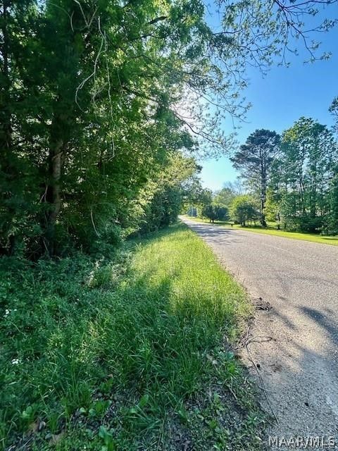Photo of 0 Sherling Lake Road, Greenville, AL 36037 (MLS # 586349)