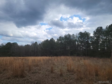 Photo of 00 County Road 15 Road, Maplesville, AL 36750 (MLS # 590007)