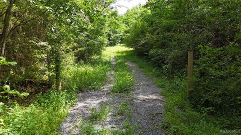 Photo of 16 Oakview Circle, Sylacauga, AL 35151 (MLS # 588020)