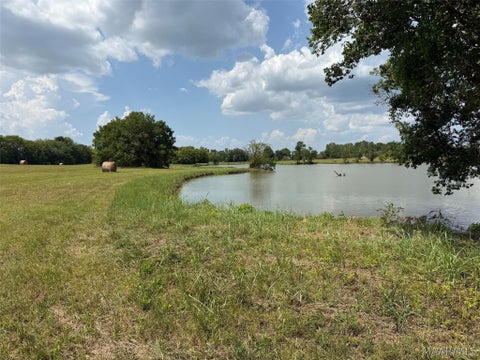 Photo of 1 Butler Mill Road, Montgomery, AL 36105 (MLS # 589904)