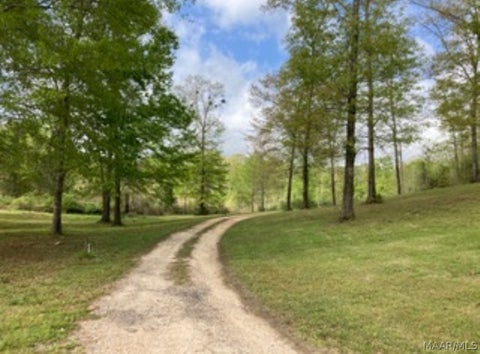 Photo of 244 County Road 993 Road, Valley Grande, AL 36703 (MLS # 590143)