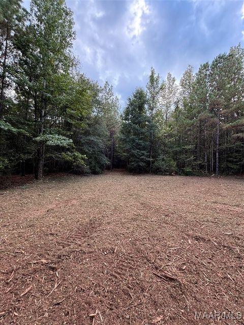 Photo of 8400 County Rd 15 Road, Repton, AL 36475 (MLS # 580708)