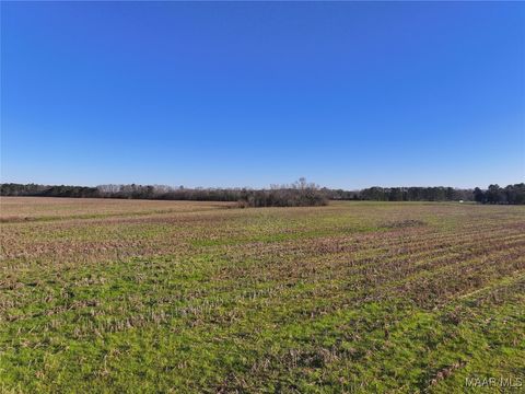 Photo of 1 County Road 22 Road, Union Springs, AL 36086 (MLS # 578150)