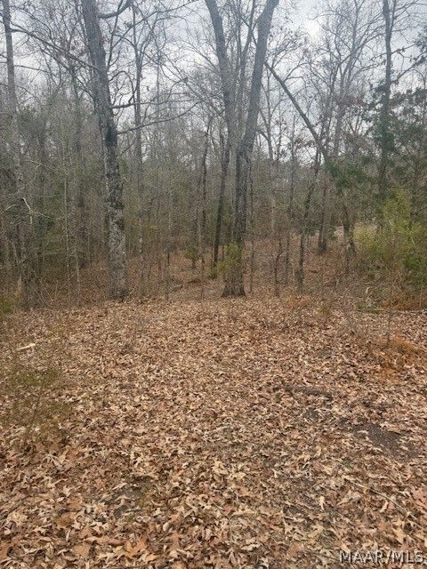 Photo of 2430 E Cotton Road, Eclectic, AL 36024 (MLS # 583711)