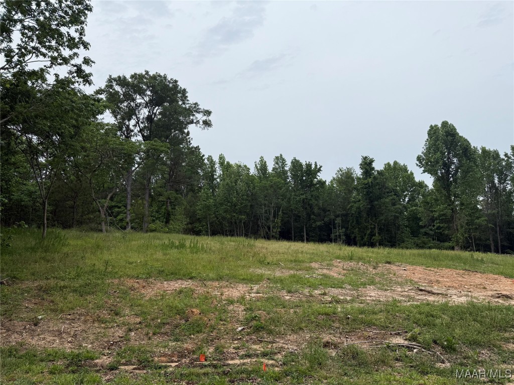 Photo 1 of 1 — 638 Nichols Avenue, Eclectic, AL 36024