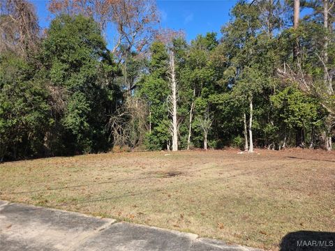 Photo of 229 Cresthaven Court, Selma, AL 36701 (MLS # 582252)