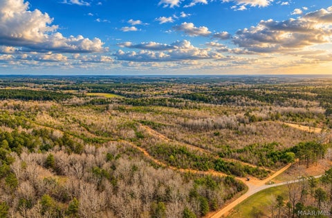 Photo of 0 Brownin Road, Ralph, AL 35480 (MLS # 591102)