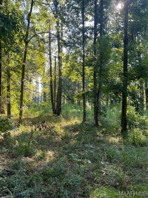 Photo of 1506 Barganier Road, Cecil, AL 36013 (MLS # 543783)